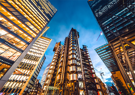 ȫ������(�й�)���޹�˾����